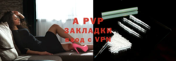 ГАЛЛЮЦИНОГЕННЫЕ ГРИБЫ Верея