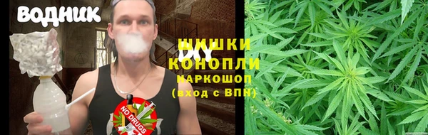 ГАЛЛЮЦИНОГЕННЫЕ ГРИБЫ Верея
