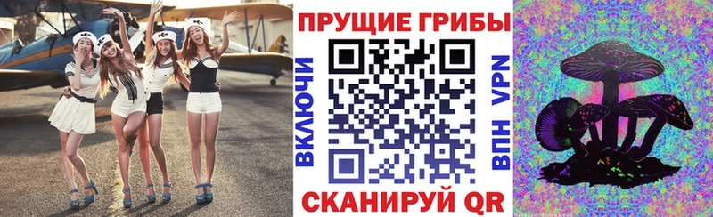 Псилоцибиновые грибы мицелий  Грозный 